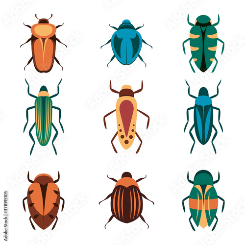 Bugs vector icons for web design isolated on white background. Bug and Insect set in cartoon style. © denis08131