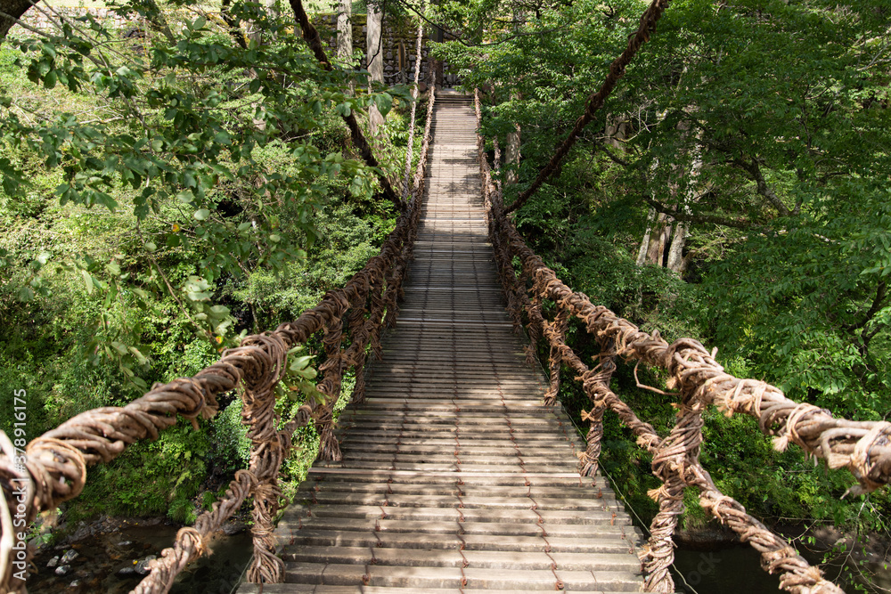 かずら橋　福井県