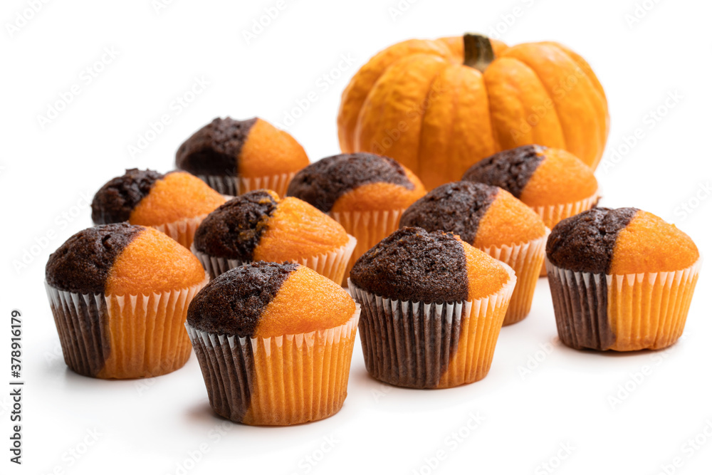 Fresh pumpkin and chocolate minimuffins with pumpkin isolated on white Fresh pumpkin and chocolate minimuffins with pumpkin isolated on white