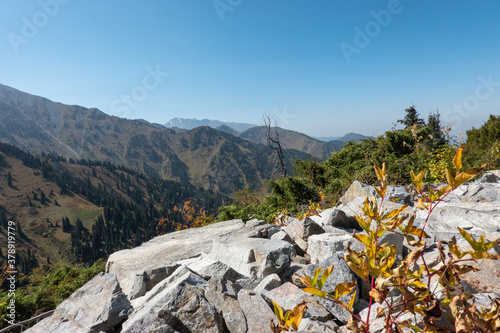 rocky mountain landscape in autumn