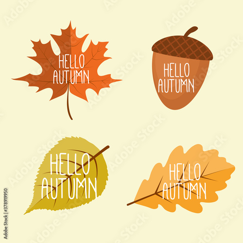 Abstract Hello Autumn Background with Falling Leaves, Rowan and Acorn. Vector Illustration