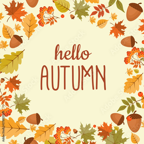 Abstract Hello Autumn Background with Falling Leaves, Rowan and Acorn. Vector Illustration