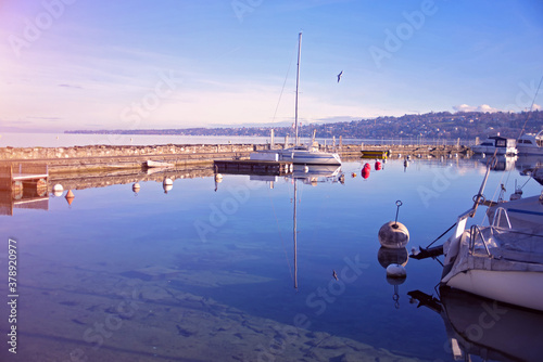 Yacht port and view of Lake Geneva