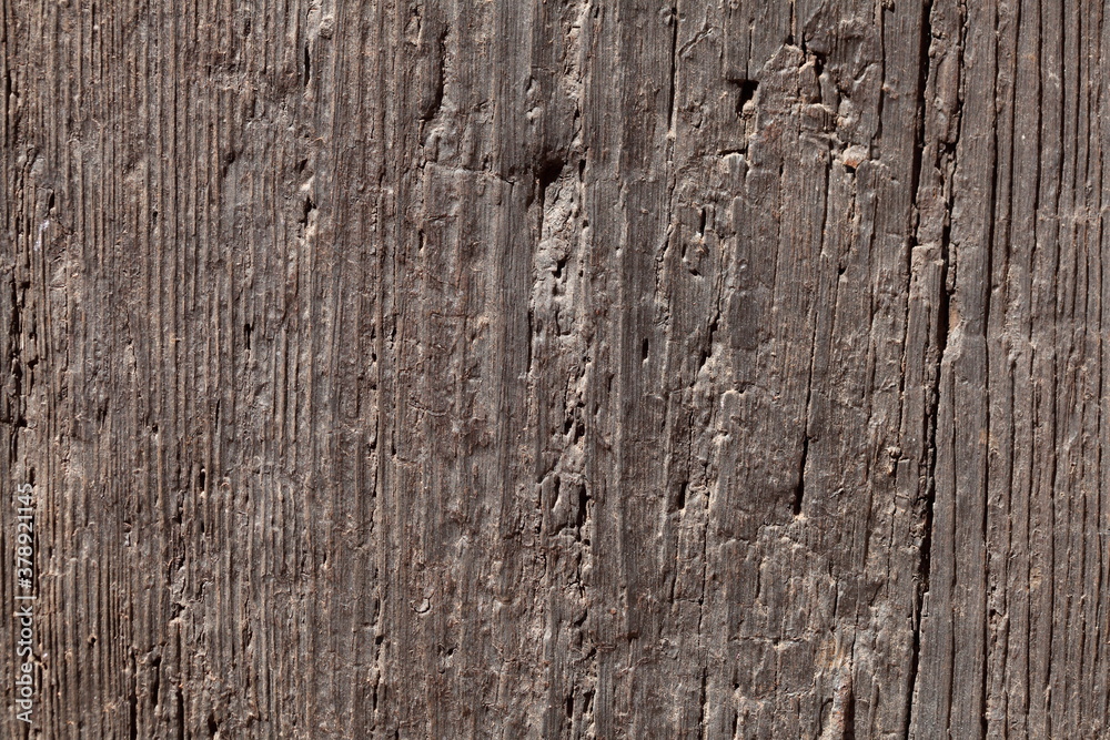 Fototapeta premium Dunkelbraune Holztextur, Hintergrundbild, Textur, Deutschland