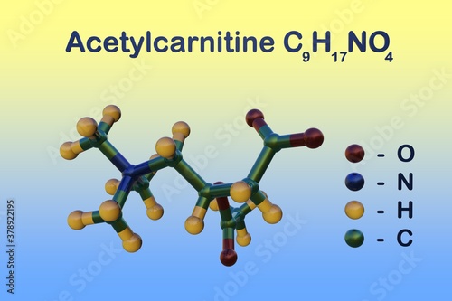 Structural chemical formula and molecular model of acetylcarnitine, an acetylated dorm of l-carnitine. It is often taken as a dietary supplement. Scientific background. 3d illustration photo