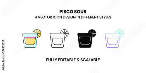 Pisco Sour Vector illustration icons in different style