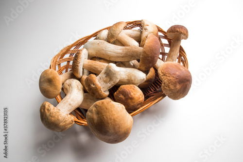 Freshly picked porcini mushrooms. Boletus with a brown hat. photo