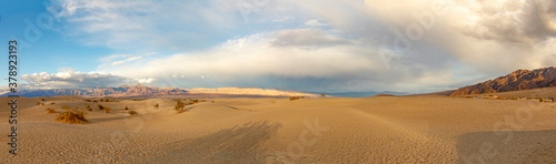 Mesquite flats in the death valley desert in sunset light