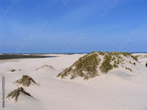 Wanderd  ne  R  bjerg Mile  an der Nordspitze J  dlands  in Nordd  nemark. J  dland  D  nemark  Europa   Shifting dune  R  bjerg Mile  on the northern tip of Jutland in Fano Denmark. Jutland  Denmark  Europe