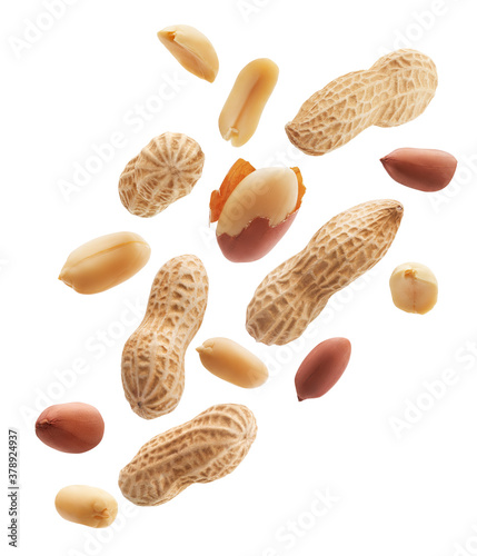 Peeled, unpeeled and whole shell peanuts isolated on white background photo