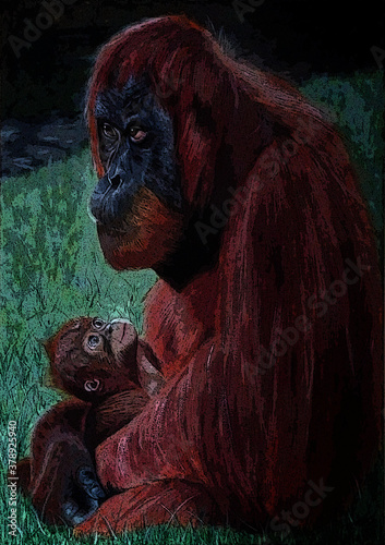 Orangutan Mother and Baby Watercolour Painting Wildlife Endangered