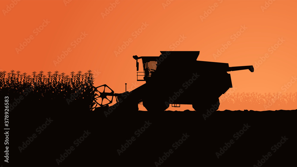 Fototapeta premium side view harvester silhouette with plants