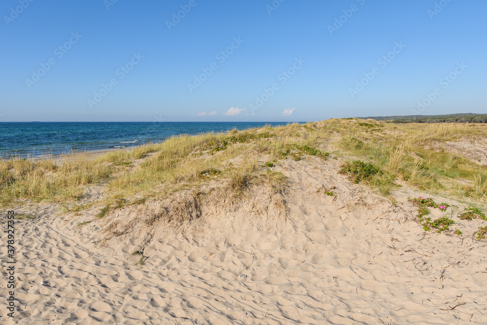 Flache Dünen mit Meer , Himmel und Wolken in Dänemark Flache Dünen mit Meer , Himmel und Wolken in Dänemark