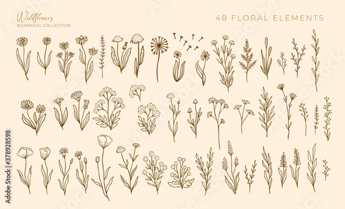 Vászonkép Wildflowers outline hand drawn set