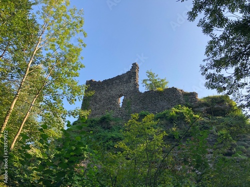 Ruine alt Wädenswil (castle ruine). Ruine through tree crowns with beautiful, sunset light shining on castle and trees.