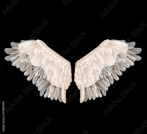 Vector wings with feathers isolated on black background.