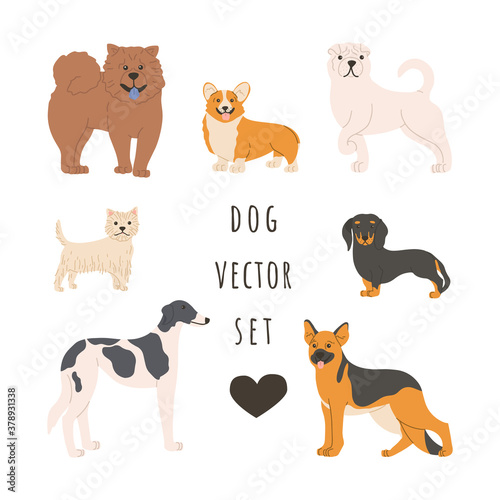 .Set of purebred dogs of various breeds. Pets in a standing position. Vector hand drawing.