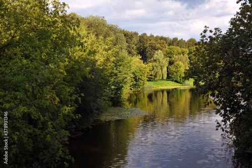 Pond in the park. Russian landscape