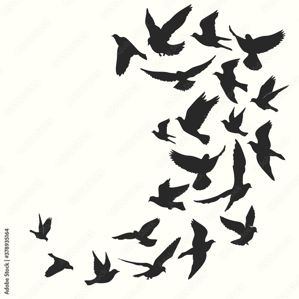 Birds silhouette vector background Birds silhouette vector background