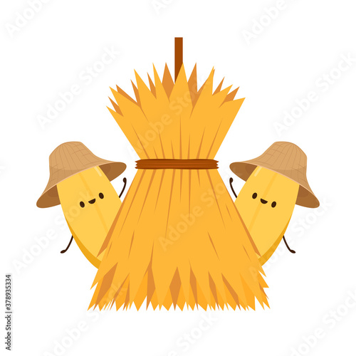 Rice character design. rice vector on white background. rice seed. Wheat straw.