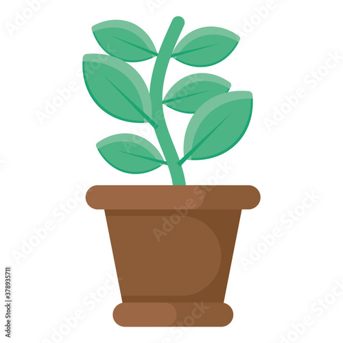 Plant Pot 