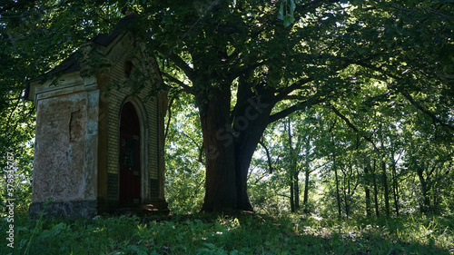 An old chapel under lime tree