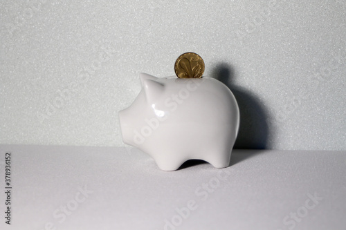 a coin from hungary falls into a white piggy bank