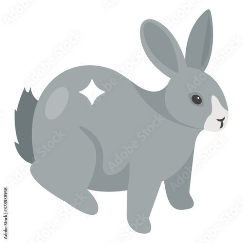  Bunny, rabbit icon in isometric design 