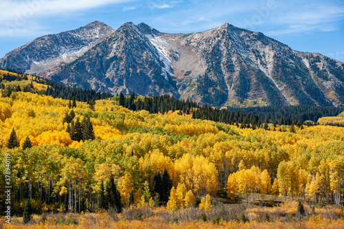 Beautiful Autumn Color on Kebler Pass, Colorado.