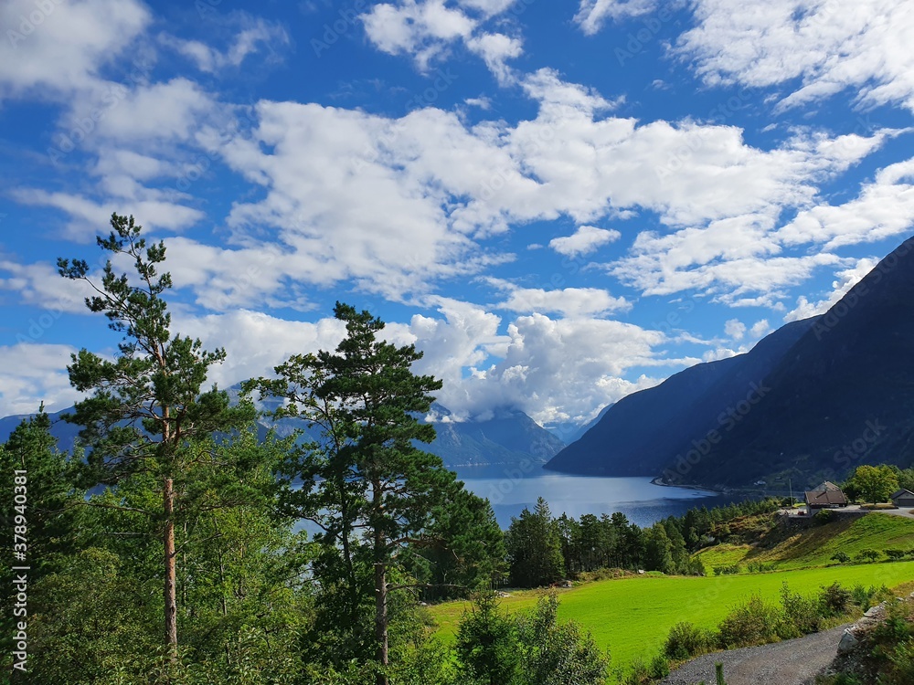 landscape with trees on a background of the blue sky and water - Kinsarvik