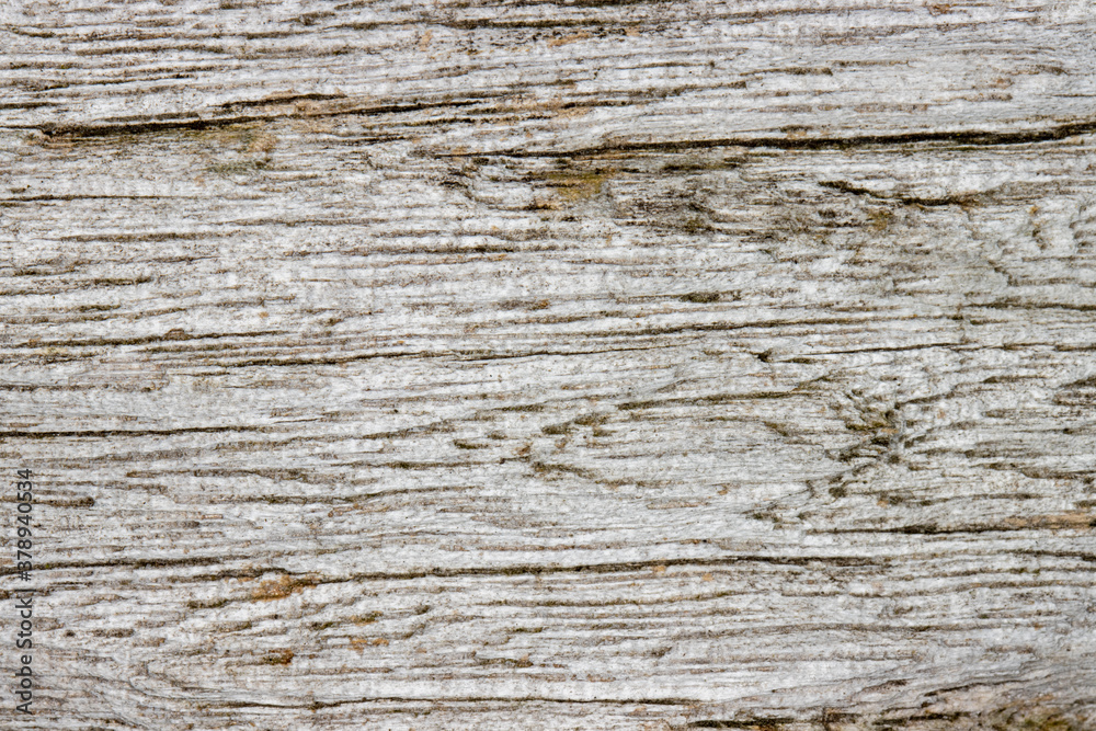Natural light driftwood textured background Natural light driftwood textured background