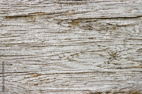 Natural light driftwood textured background