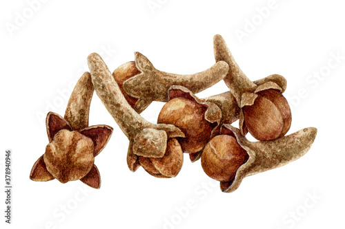 Clove spice heap watercolor illustration. Hand drawn close up aromatic syzygium aromaticum herb dry flowers. Group of clove buds natural organic product. Healthy spicy ingredient for cooking