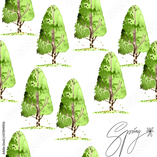 Seamless pattern spring illustration with green birch and inscription 