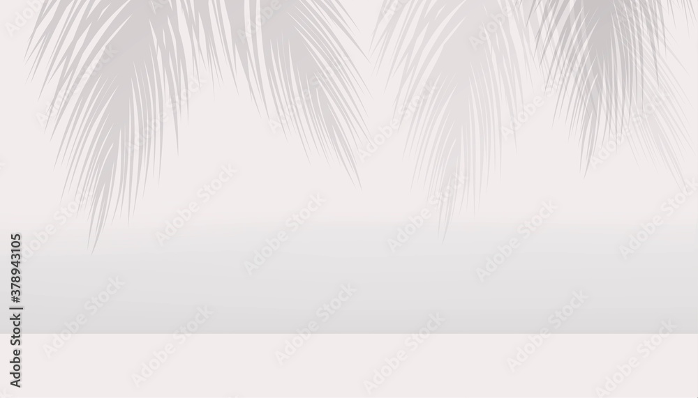 Fototapeta premium Abstract background white and gray leaf background, podium vector illustration