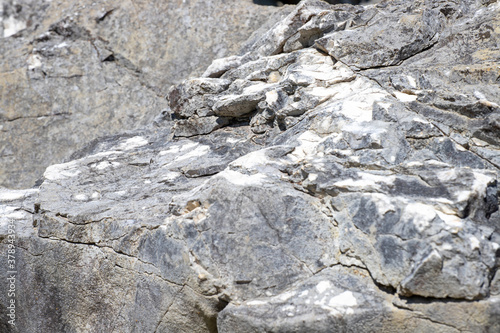 Close up Limestone in Akiyoshidai Quasi-National Park, Mine, Yamaguchi, JAPAN.