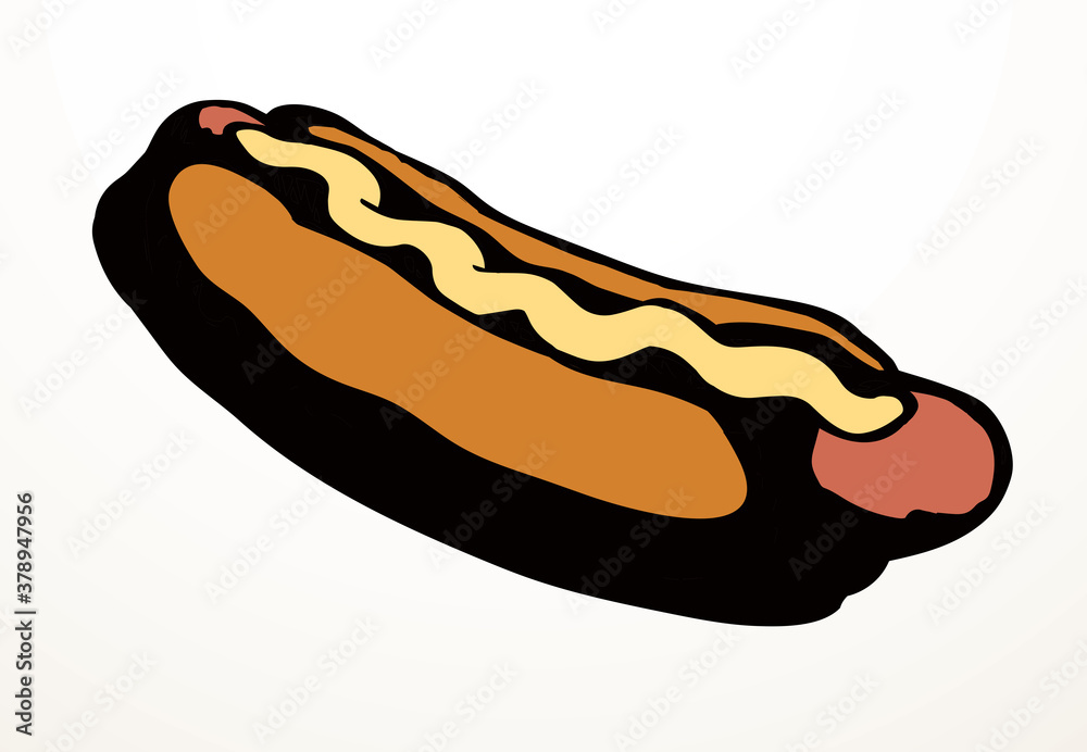 Hot Dog. Vector drawing food Hot Dog. Vector drawing food