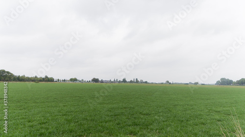 Agricultural fields in Zeeland near Millingen aan de Rijn, The Netherlands