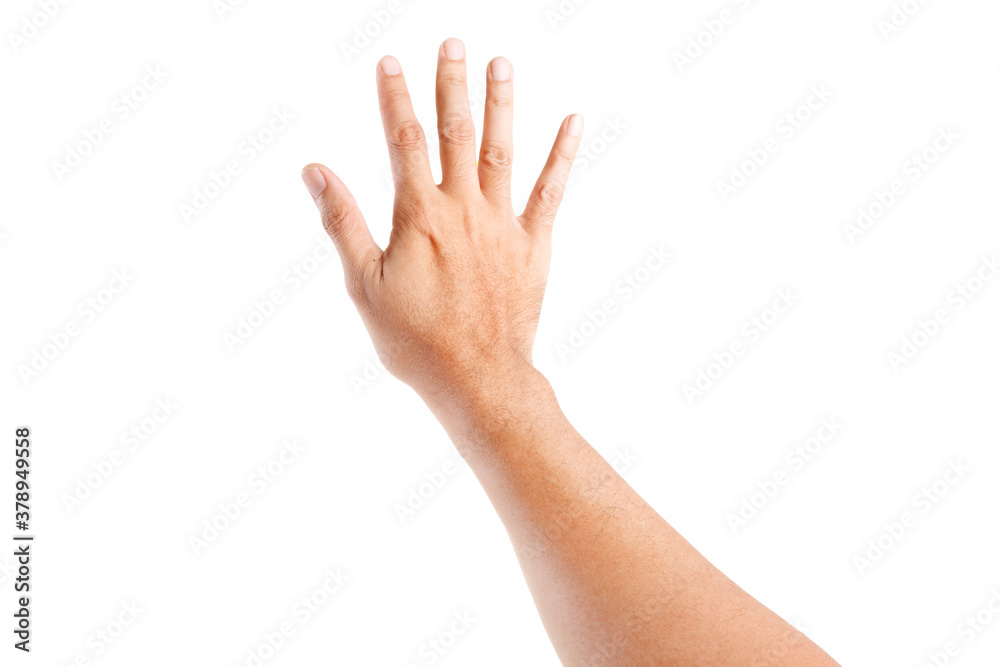 Male asian hand gestures isolated over the white background. TOUCHING POSE. Male asian hand gestures isolated over the white background. TOUCHING POSE.