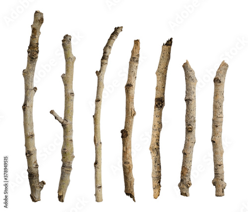 Sticks isolated on a white background without a shadow. Itams for scene creation