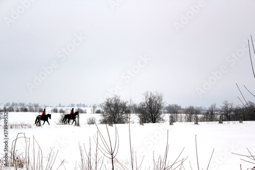 riding on two black horses in a winter wonderland