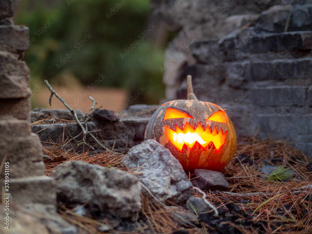 Calabaza de halloween con fuego en su interior en un bosque para celebrar el día de muertos o de todos los santos Calabaza de halloween con fuego en su interior en un bosque para celebrar el día de muertos o de todos los santos