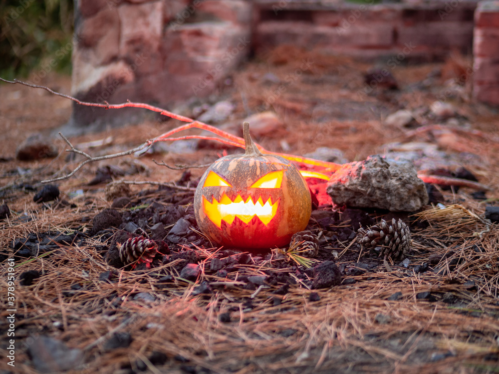 Calabaza de halloween con fuego en su interior en un bosque para celebrar el día de muertos o de todos los santos Calabaza de halloween con fuego en su interior en un bosque para celebrar el día de muertos o de todos los santos