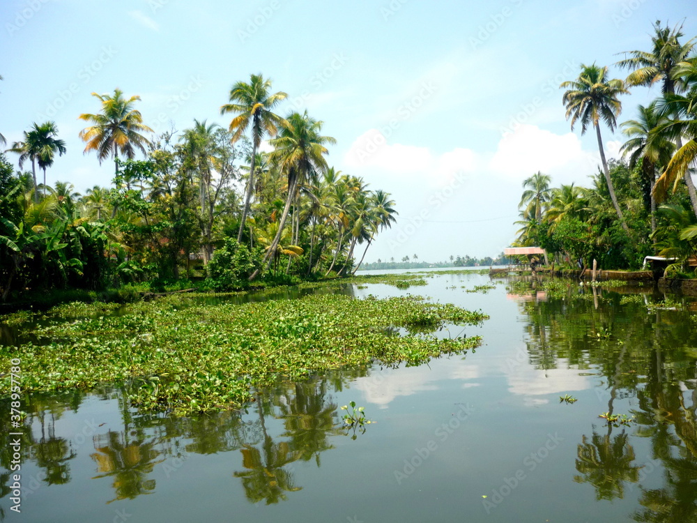 Obraz premium Backwaters Kerala