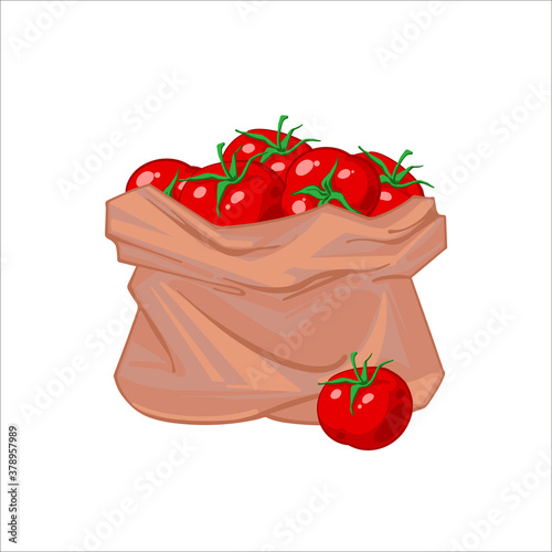 A paper bag full of ripe juicy red tomatoes. Tomato bag, Organic vegetables. hand drawn vector illustration isolated on white background. Icons bags with vegetables.