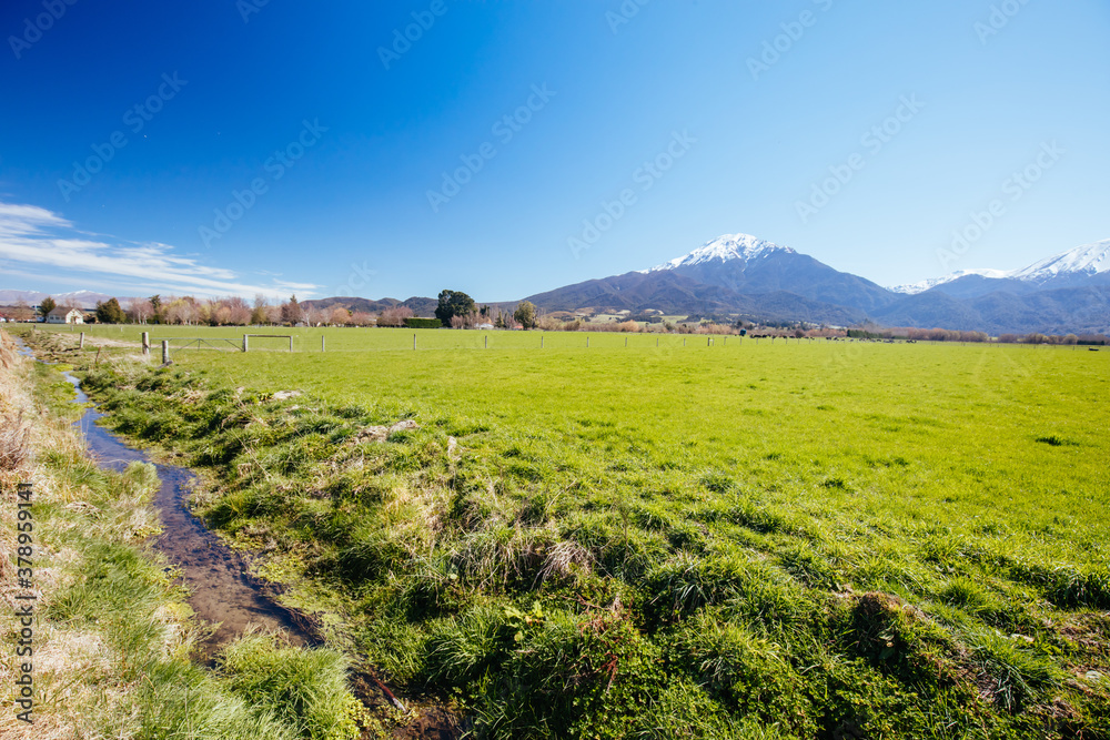 Fototapeta premium Landscape Around Staveley in New Zealand
