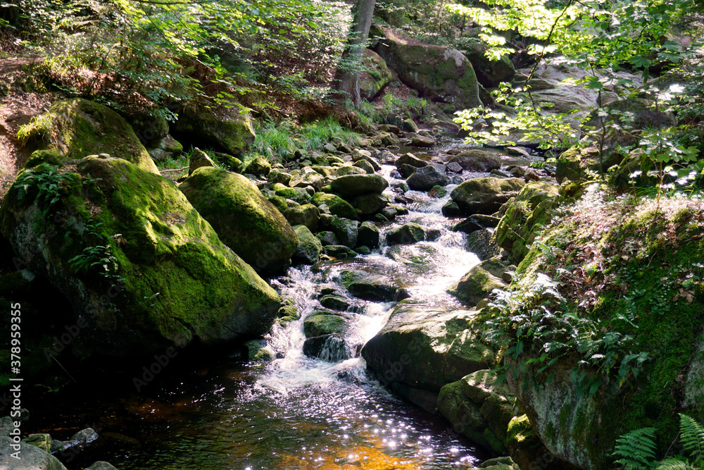 Der Flusslauf der Ilse umgeben von moosbedeckten Steinen bei Ilsenburg im Harz Der Flusslauf der Ilse umgeben von moosbedeckten Steinen bei Ilsenburg im Harz