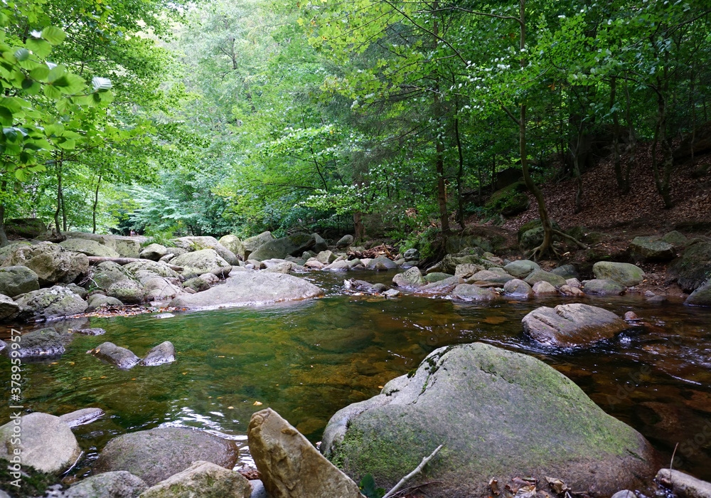 Der Flusslauf der Ilse mit steinigen Ufer im Wald bei Ilsenburg im Harz Der Flusslauf der Ilse mit steinigen Ufer im Wald bei Ilsenburg im Harz