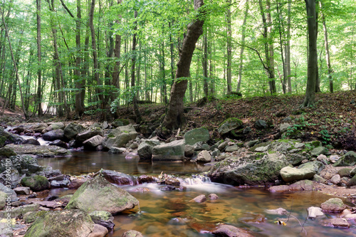 Der Flusslauf der Ilse mit seinen steinigen Ufer im Wald bei Ilsenburg im Harz