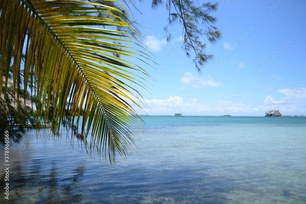 Isla tropial Guanaja en el caribe, de las Islas de la Bahía en Honduras
